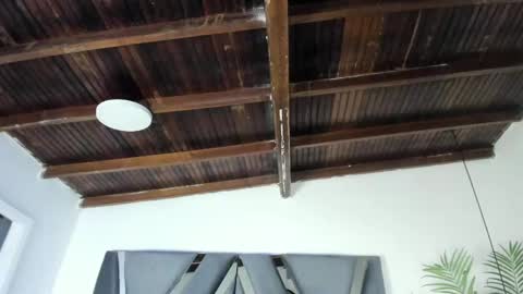 Alexa   online show from 04-07-26, 10:59