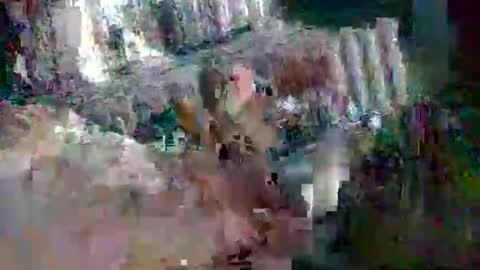 Snapshot of stud_1975 chatting on 03-02-25, 08:05 stud_1975 online show from 03-02-25, 08:05