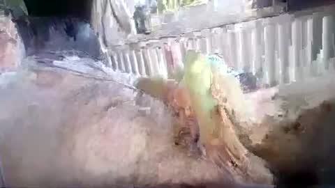 stud_1975 online show from 07-18-26, 12:31