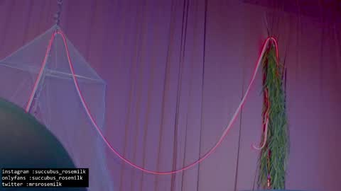 Snapshot of succubus_rosemilk chatting on 01-27-25, 02:53 Succubus RoseMilk online show from 01-27-25, 02:53