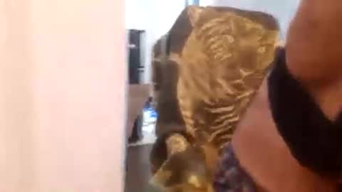 Cuteipie online show from 12-29-24, 01:34