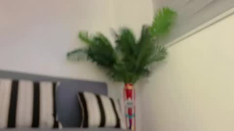 Snapshot of sugarhoneysw8 chatting on 02-07-25, 07:29 Jess online show from 02-07-25, 07:29