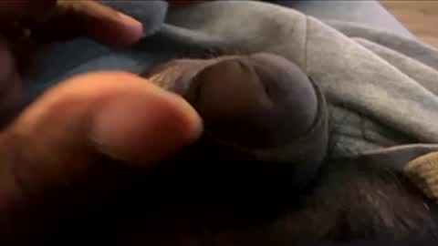 Snapshot of suggnight chatting on 01-07-26, 08:55 Let me be your knight that saves you online show from 01-07-26, 08:55