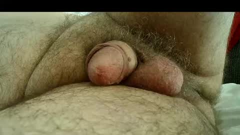 Snapshot of sugus56 chatting on 07-27-26, 03:08 Samenspender online show from 07-27-26, 03:08
