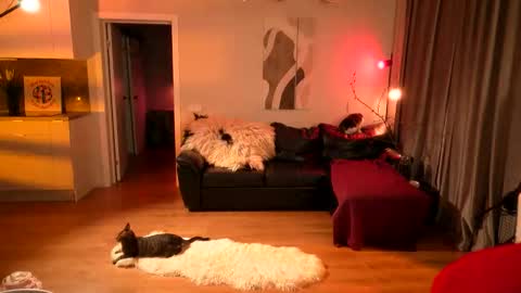 Lika ginger  Jessy blond   online show from 04-16-26, 02:12