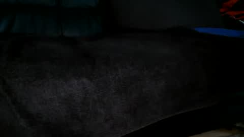 s online show from 06-30-26, 02:29