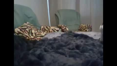 suni online show from 03-07-25, 05:08