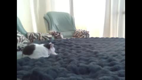 suni online show from 03-10-25, 11:42