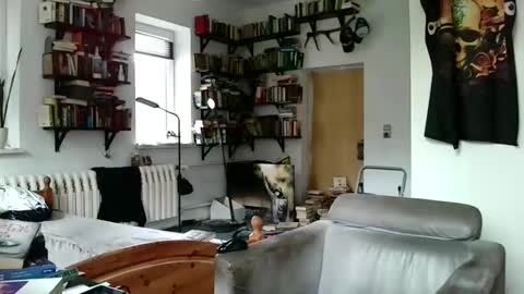 sunr1sa online show from 01-03-25, 10:41