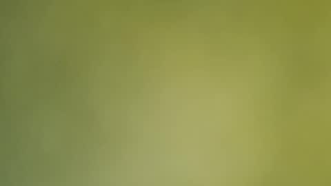 Snapshot of sunshine_days chatting on 12-19-24, 12:56 Annie online show from 12-19-24, 12:56