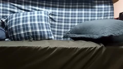 Super dave88 online show from 09-28-25, 10:53