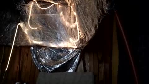 super jony and Marta GMT 1300-1800 every day online show from 10-01-25, 02:17