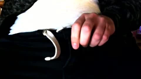 superstuntman1 online show from 02-10-25, 07:36