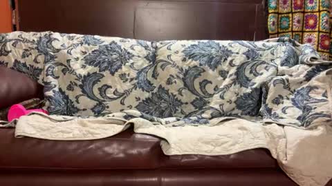 Stony online show from 01-14-25, 07:48