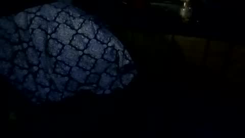 sloth online show from 02-27-26, 09:31