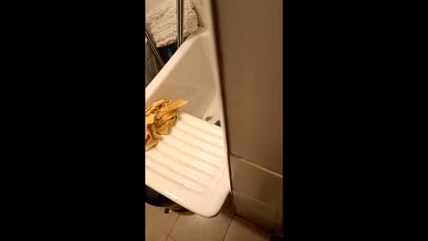 suso9092 online show from 03-23-26, 11:42