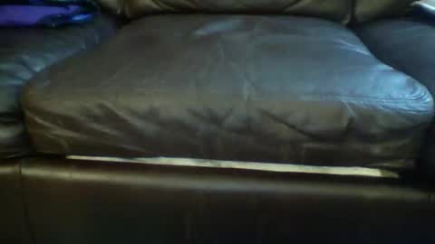 Snapshot of suv1 chatting on 03-03-26, 09:26 Otto online show from 03-03-26, 09:26