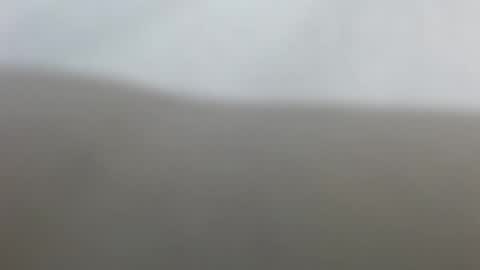 Suzy online show from 02-17-26, 12:34