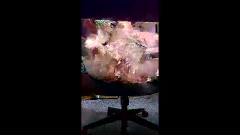 svald0 online show from 06-05-26, 12:44