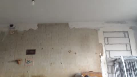 Sveti online show from 02-01-25, 02:02