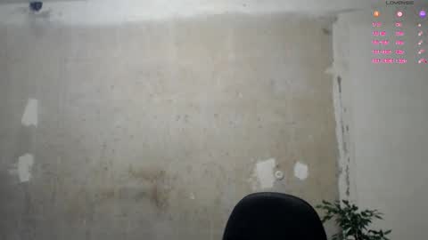 Snapshot of svetifox chatting on 03-17-26, 01:54 Sveti online show from 03-17-26, 01:54