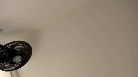 Snapshot of sweet__vanessa1 chatting on 07-26-26, 08:16 Vanessa online show from 07-26-26, 08:16