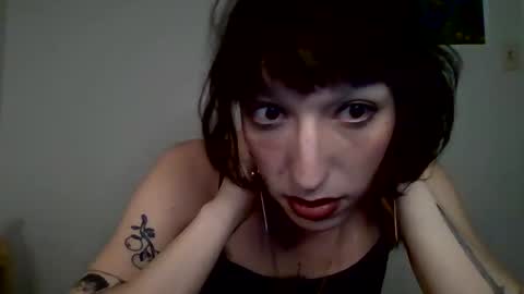 sweet_harvey online show from 04-10-26, 12:38