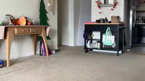 Heidi Brenner - Please check bio for schedule  FAQ online show from 12-14-25, 02:33