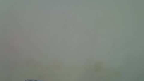 Alura online show from 11-30-25, 09:02