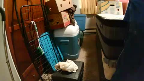 sweetcumfullofaglass online show from 10-12-25, 08:19