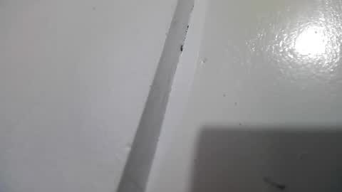 Stacy online show from 04-13-26, 03:06