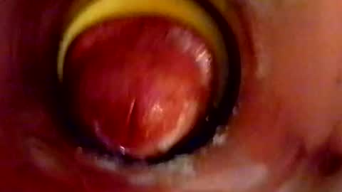 sweetkreme69 online show from 10-11-25, 02:55
