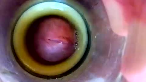 sweetkreme69 online show from 10-14-25, 07:14