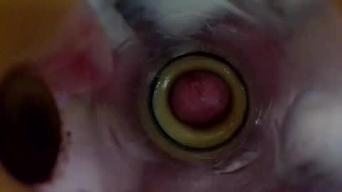 sweetkreme69 online show from 10-17-25, 09:01