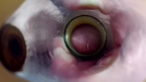 sweetkreme69 online show from 10-19-25, 02:45