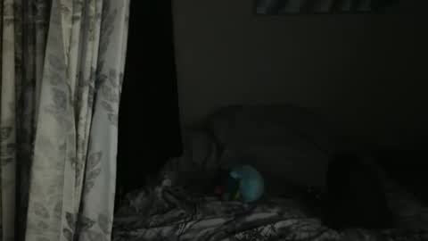 Snapshot of sweetlikeahoneybee chatting on 05-29-26, 01:36 Sweetlikeahoneybee online show from 05-29-26, 01:36
