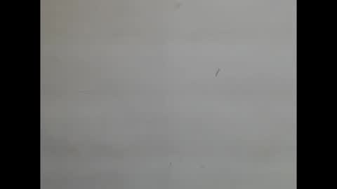 sweetnectarx online show from 11-08-25, 04:40