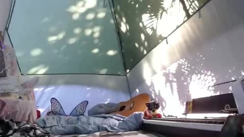 April online show from 11-21-25, 04:16