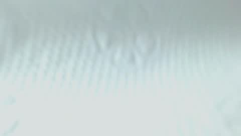 Ghena online show from 05-20-26, 02:51
