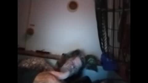 sweetsugar64 online show from 03-08-26, 06:17