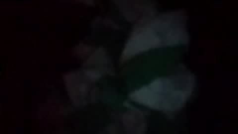 swollpole2112 online show from 05-16-26, 06:32