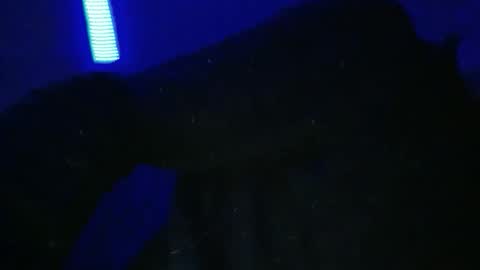 sylvauvert70 online show from 01-18-26, 03:10