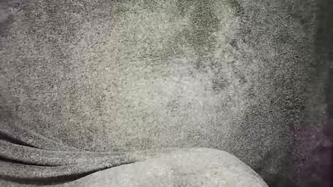 Snapshot of t0ny_cawk chatting on 12-22-24, 07:54 t0ny_cawk online show from 12-22-24, 07:54