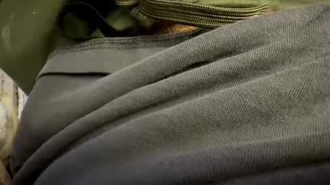 tRex online show from 10-24-25, 01:03