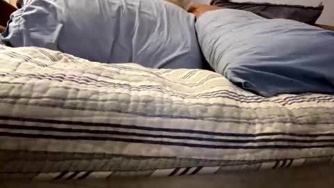 tRex online show from 11-05-25, 12:43