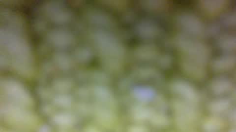 Prostate Orgazmer online show from 05-29-26, 01:42