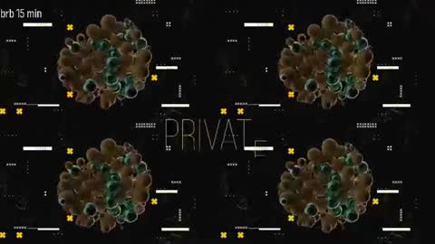 Snapshot of taanni_bc chatting on 06-17-26, 06:16 TAANNI online show from 06-17-26, 06:16