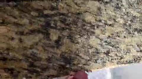 Snapshot of tacitblue7 chatting on 03-02-26, 04:47 Canon online show from 03-02-26, 04:47