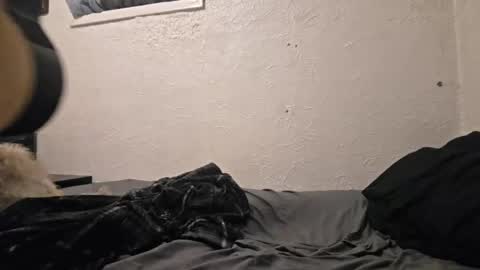 Talen James online show from 04-18-26, 09:48