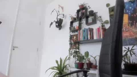 Tali Majid online show from 11-26-25, 11:44